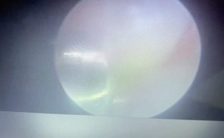 Instagram post from drbrunocolturatto. This post is in position 2.