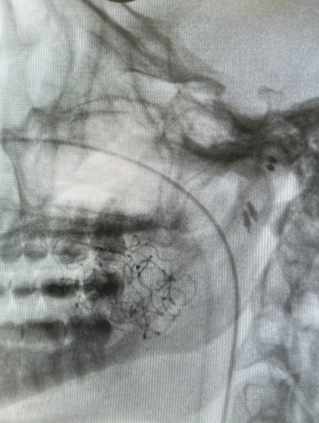 Instagram post from drbrunocolturatto. This post is in position 1.